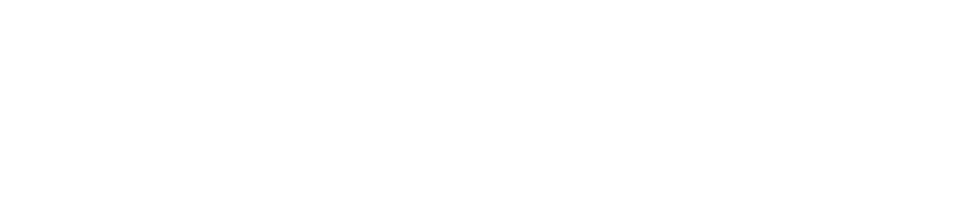 bsoch logo