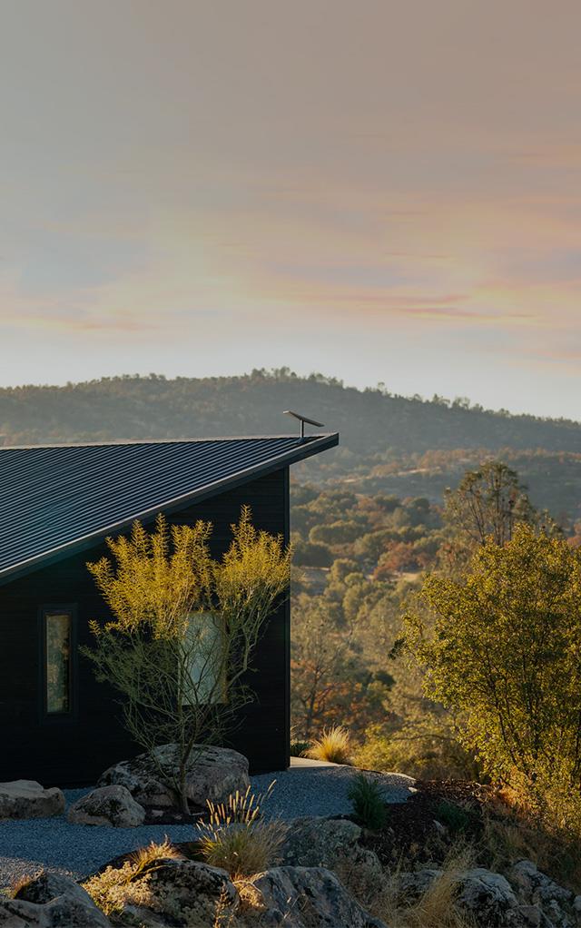 starlink imazh kryesor