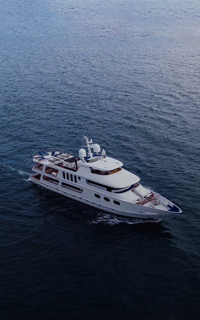 Starlink main image boats