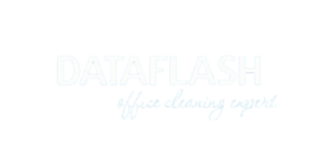 dataflash logo