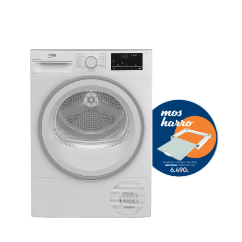 THARESE RROBASH
                          B3T68110