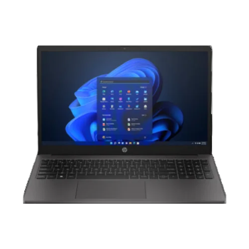 LAPTOP 
                          250 G10
