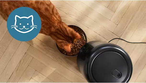 smart pet feeder