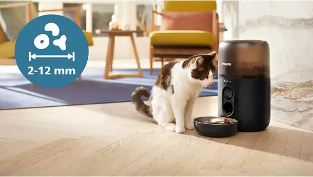 smart pet feeder