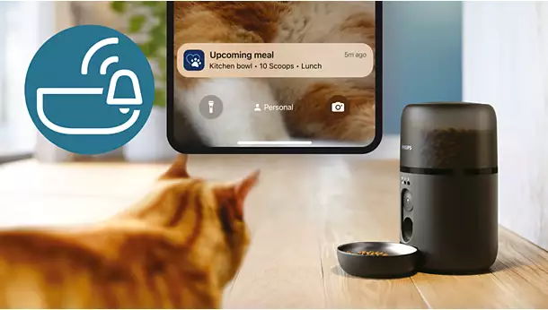 smart pet feeder