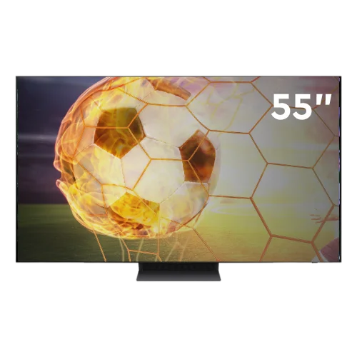 TV 
              QE55S90DAEXXH