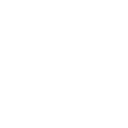 SMARTPHONE